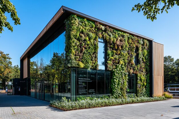 Zalety stosowania betonu konopnego w nowoczesnym budownictwie ekologicznym