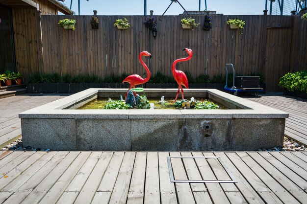 Jak stworzyć miniaturowy ogród wodny na tarasie?