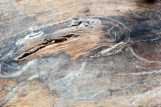 Magia tekstur: Jak różnorodne materiały zmieniają charakter wnętrza