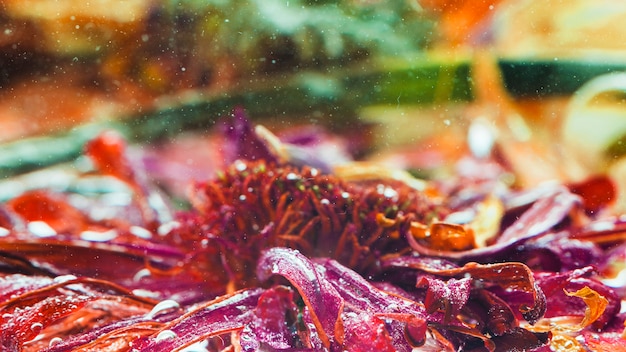 Ogród sensoryczny: jak stworzyć przestrzeń, która pobudza zmysły?